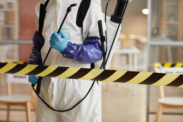 Professional Sewage Cleanup technician working in Farmingville, NY